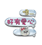 Double Cats 4（個別スタンプ：26）