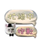 Double Cats 4（個別スタンプ：33）