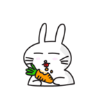 Rabbit KimKim（個別スタンプ：5）