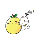 pomelo＆cat＆daily（個別スタンプ：38）