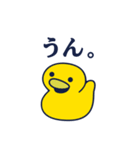 毎日DUCK（個別スタンプ：1）