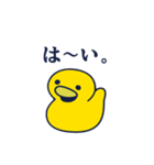 毎日DUCK（個別スタンプ：2）