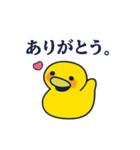 毎日DUCK（個別スタンプ：12）