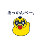 毎日DUCK（個別スタンプ：25）