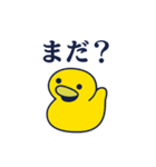 毎日DUCK（個別スタンプ：30）