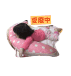 BABY TSEN ALL STYLE（個別スタンプ：4）