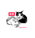 Two arguing cats（個別スタンプ：31）