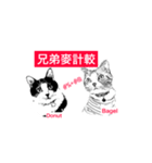 Two arguing cats（個別スタンプ：39）