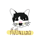 catzaaa（個別スタンプ：1）