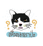 catzaaa（個別スタンプ：8）