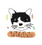 catzaaa（個別スタンプ：14）