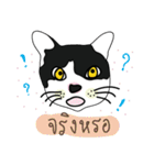 catzaaa（個別スタンプ：19）