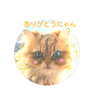 mypets 2（個別スタンプ：6）