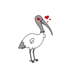 Bin Chicken (The Aussie Ibis)（個別スタンプ：4）