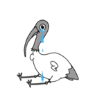 Bin Chicken (The Aussie Ibis)（個別スタンプ：12）