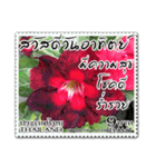 Stamp for Greetings（個別スタンプ：1）