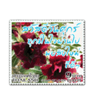 Stamp for Greetings（個別スタンプ：6）