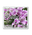 Stamp for Greetings（個別スタンプ：21）