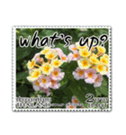 Stamp for Greetings（個別スタンプ：23）