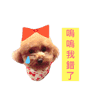 redpoodletoby2（個別スタンプ：4）