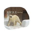 talkanimal（個別スタンプ：3）