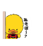 ぱんどり（個別スタンプ：31）