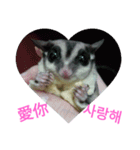 sugarglider do＆niu（個別スタンプ：23）