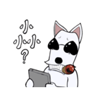 Bull Terrier JAM dog（個別スタンプ：5）