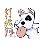 Bull Terrier JAM dog（個別スタンプ：14）