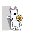 Bull Terrier JAM dog（個別スタンプ：15）