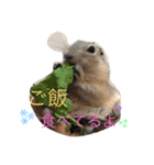 Yの可愛いanimals（個別スタンプ：6）