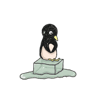 Adelie penguins every time（個別スタンプ：5）