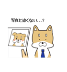 就活する犬（個別スタンプ：10）