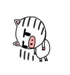 white pig white pig1（個別スタンプ：26）