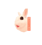 bunny chan sticker（個別スタンプ：8）