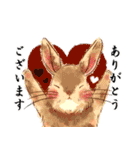 Lovely rabbit sticker！3<敬語ver>（個別スタンプ：13）