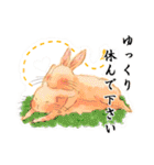 Lovely rabbit sticker！3<敬語ver>（個別スタンプ：15）