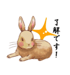 Lovely rabbit sticker！3<敬語ver>（個別スタンプ：17）