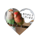 コザクラインコのリリーとジョニー敬語編（個別スタンプ：9）