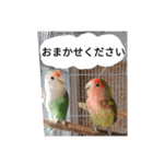 コザクラインコのリリーとジョニー敬語編（個別スタンプ：27）