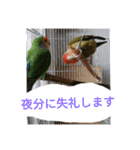 コザクラインコのリリーとジョニー敬語編（個別スタンプ：33）