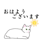 シンプル白猫☆【敬語】（個別スタンプ：1）