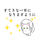 シンプル白猫☆【敬語】（個別スタンプ：2）