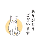 シンプル白猫☆【敬語】（個別スタンプ：5）