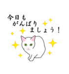 シンプル白猫☆【敬語】（個別スタンプ：8）