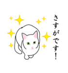 シンプル白猫☆【敬語】（個別スタンプ：10）