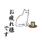 シンプル白猫☆【敬語】（個別スタンプ：26）