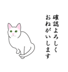 シンプル白猫☆【敬語】（個別スタンプ：30）