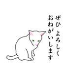 シンプル白猫☆【敬語】（個別スタンプ：31）