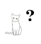シンプル白猫☆【敬語】（個別スタンプ：35）